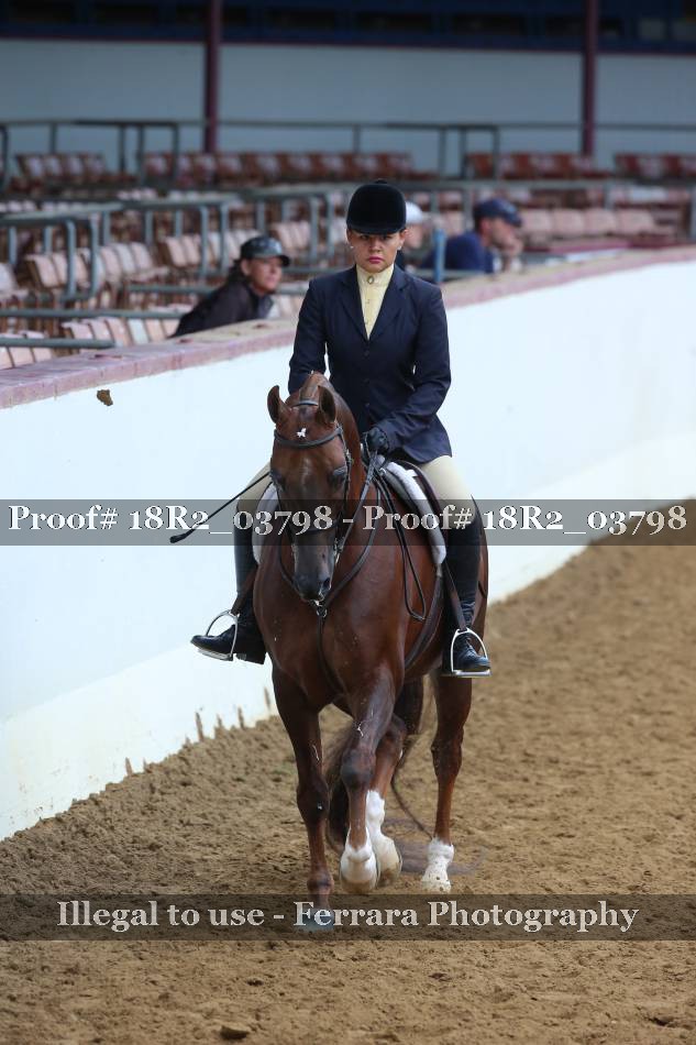 Proof 18R2_03798