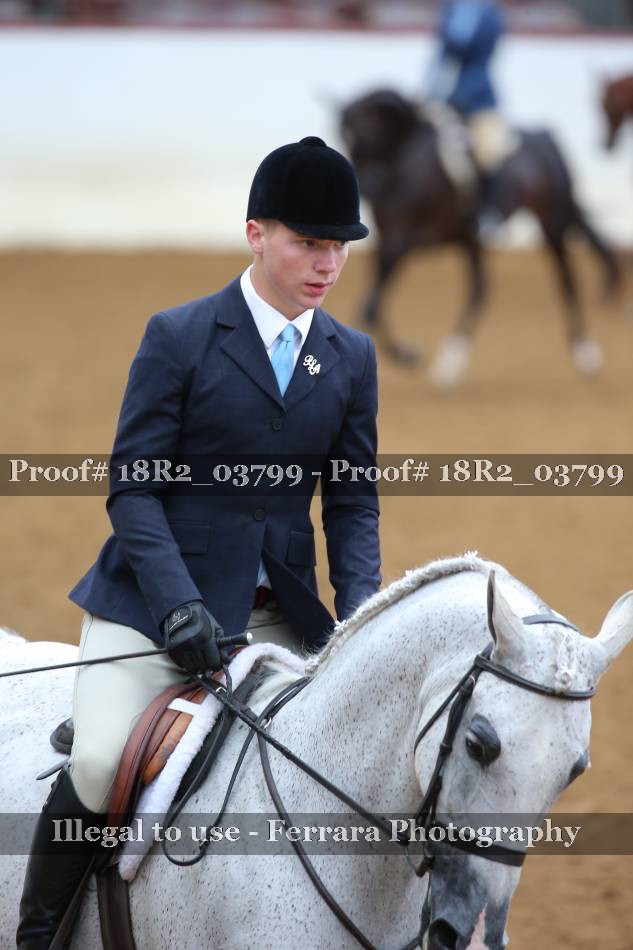Proof 18R2_03799