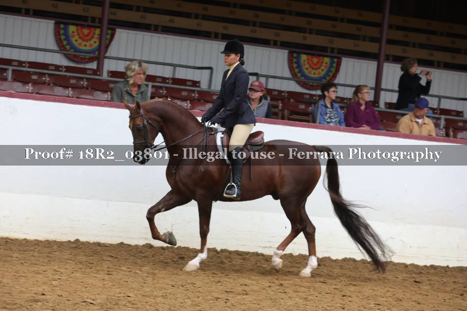 Proof 18R2_03801