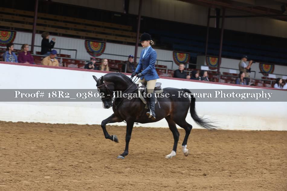 Proof 18R2_03802