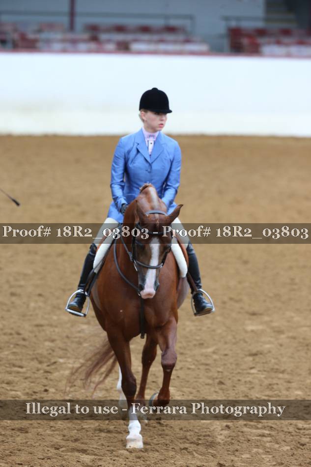 Proof 18R2_03803
