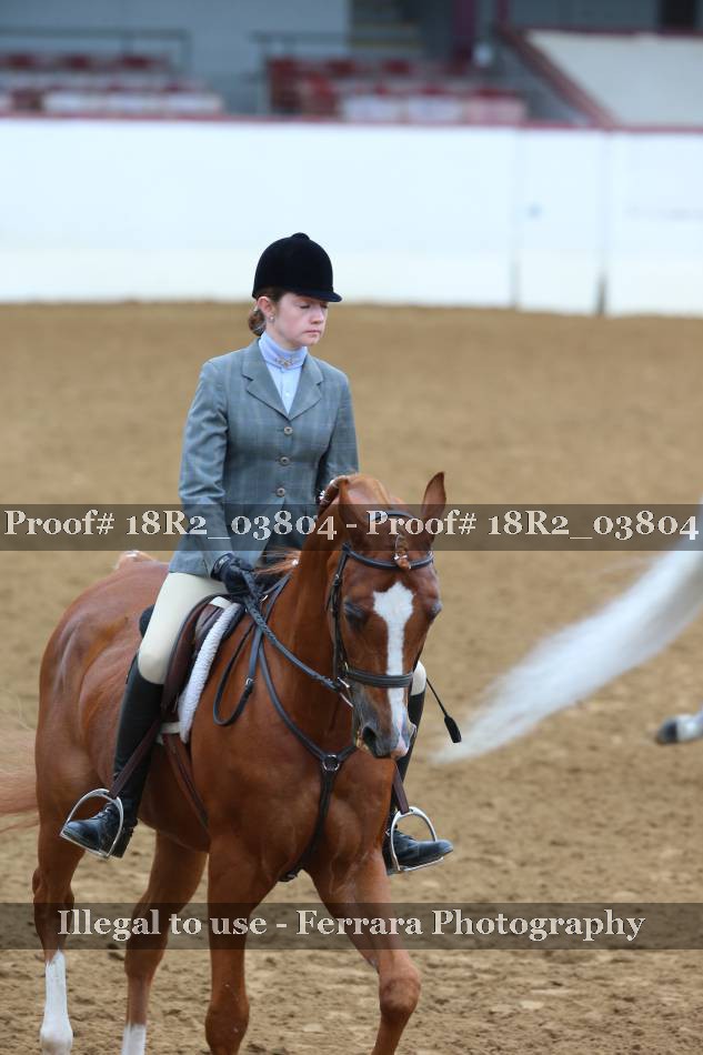 Proof 18R2_03804
