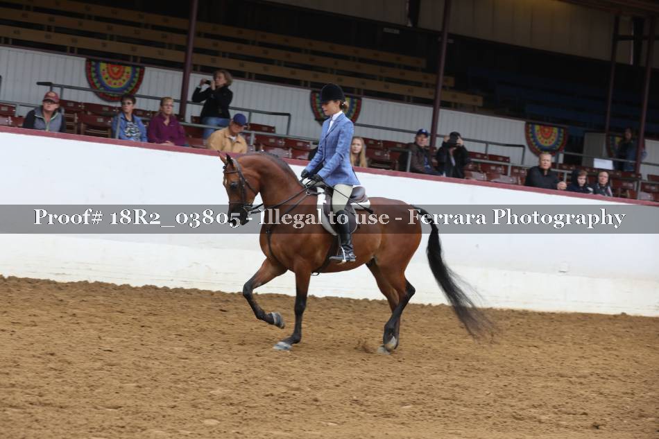 Proof 18R2_03805