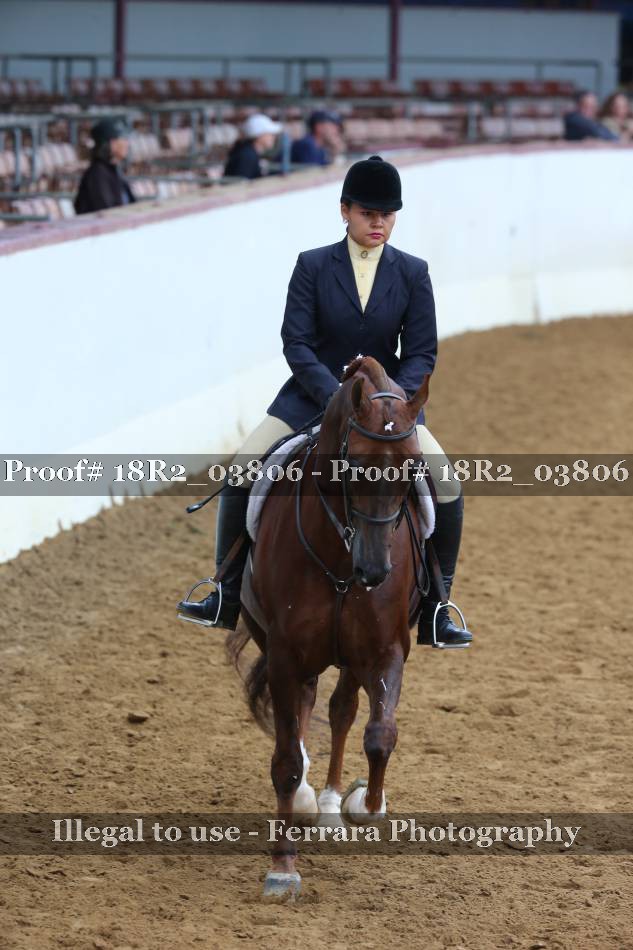 Proof 18R2_03806