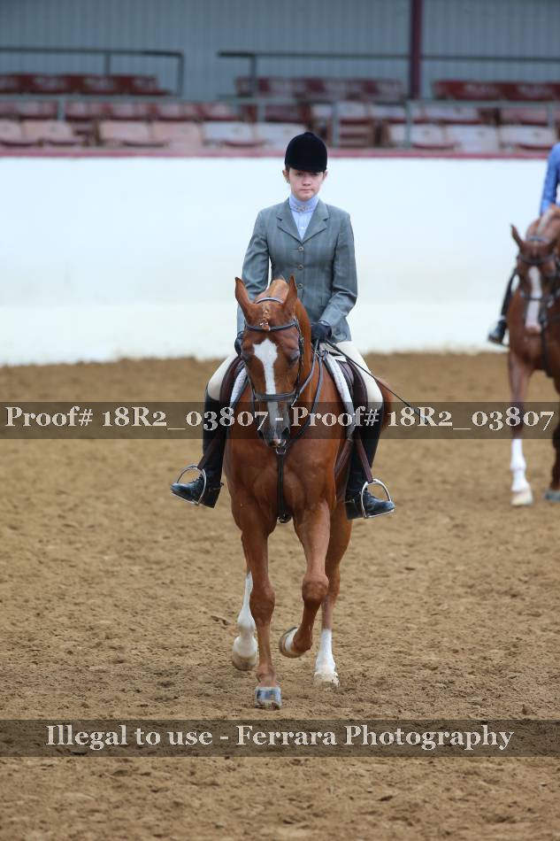 Proof 18R2_03807