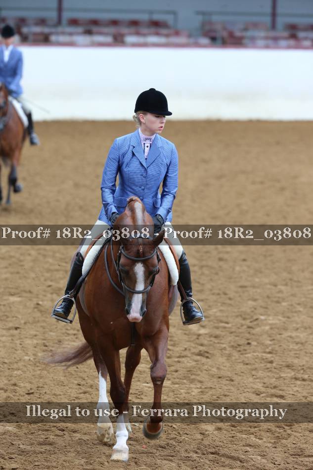 Proof 18R2_03808