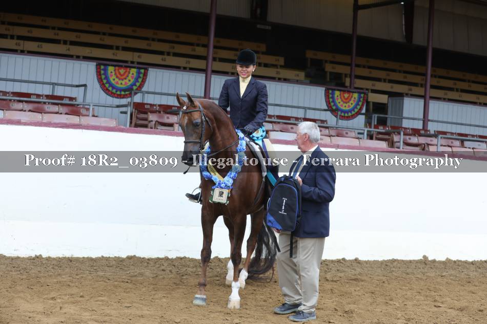 Proof 18R2_03809