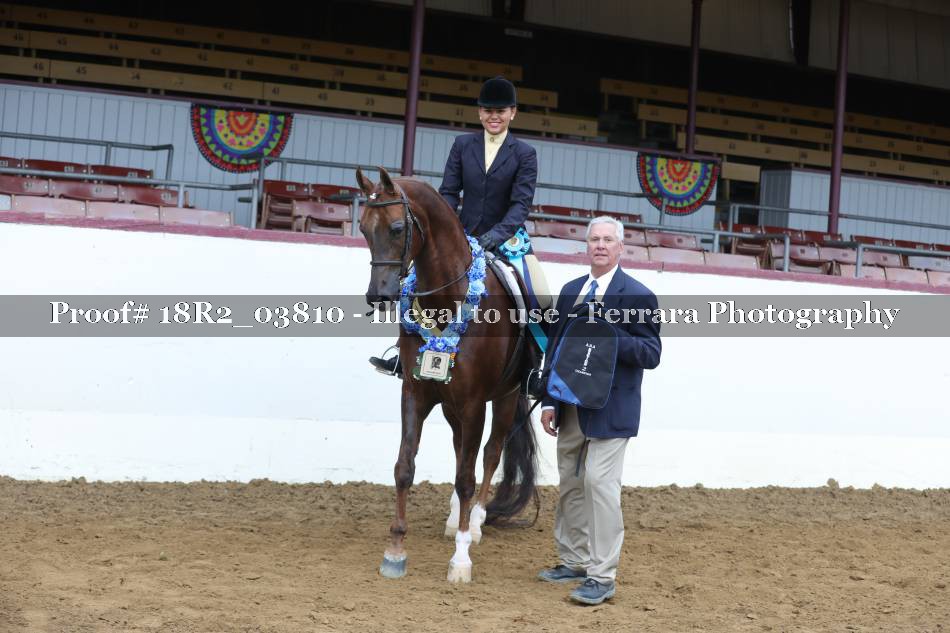 Proof 18R2_03810