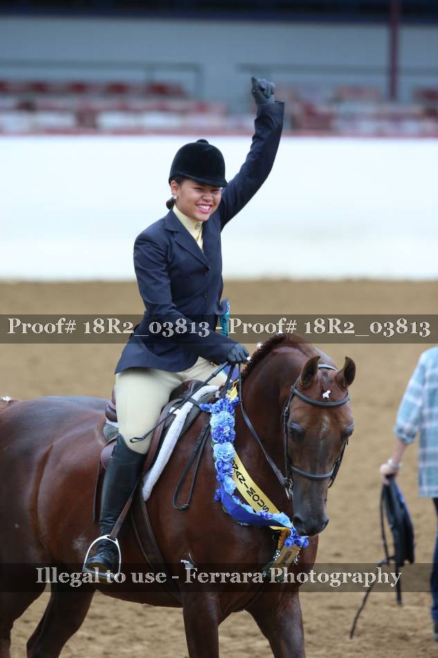 Proof 18R2_03813