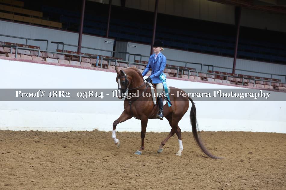 Proof 18R2_03814