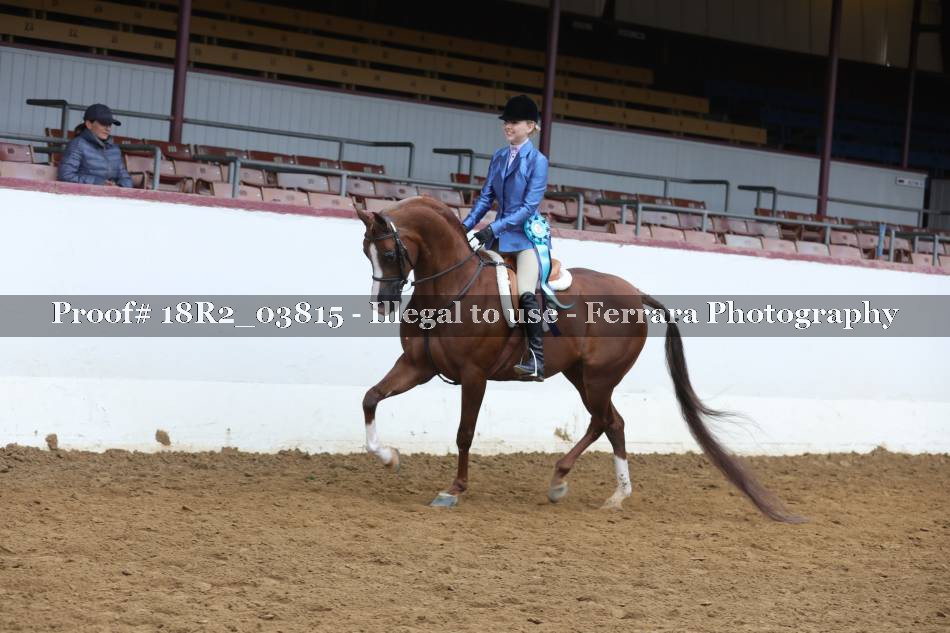 Proof 18R2_03815