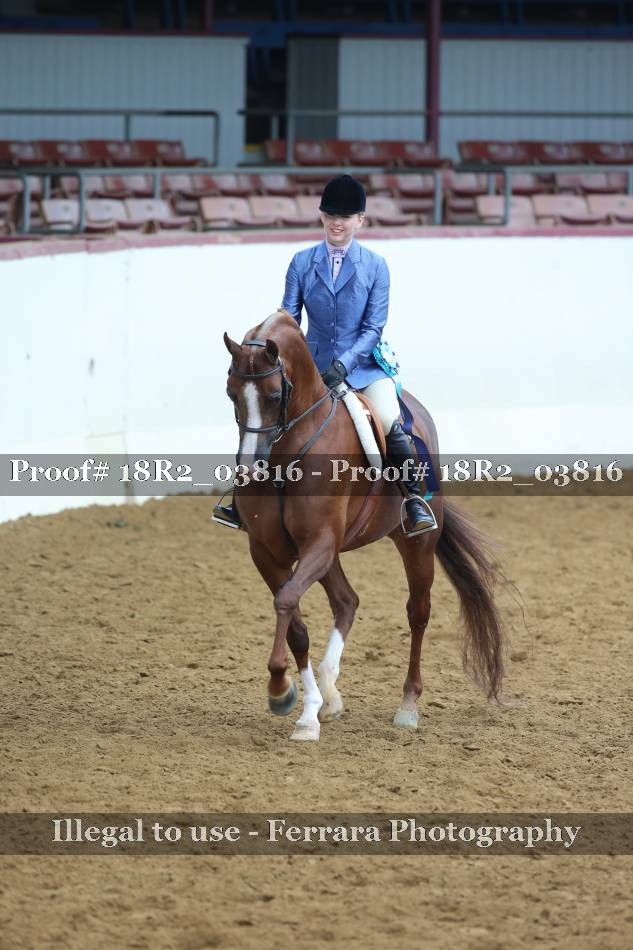 Proof 18R2_03816