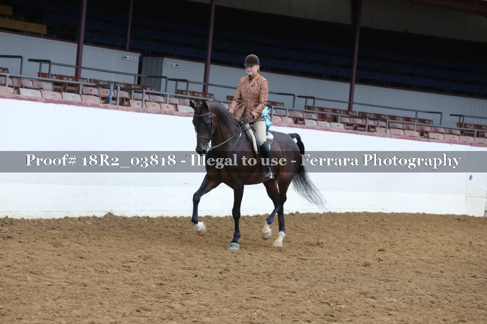 Proof 18R2_03818