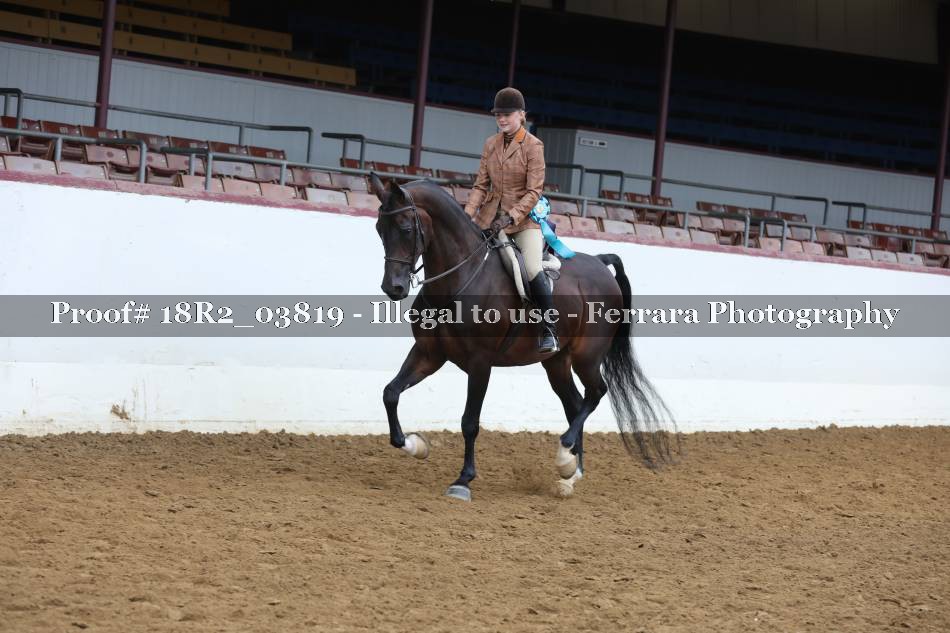 Proof 18R2_03819