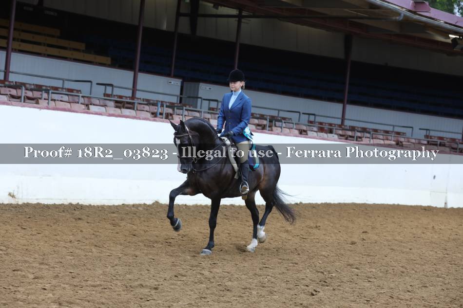 Proof 18R2_03823