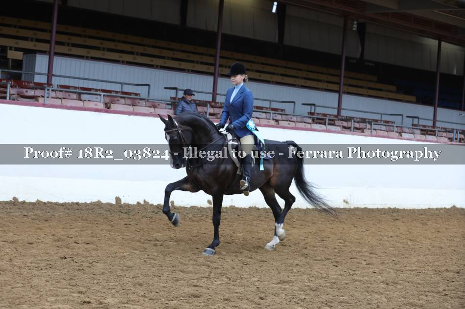 Proof 18R2_03824