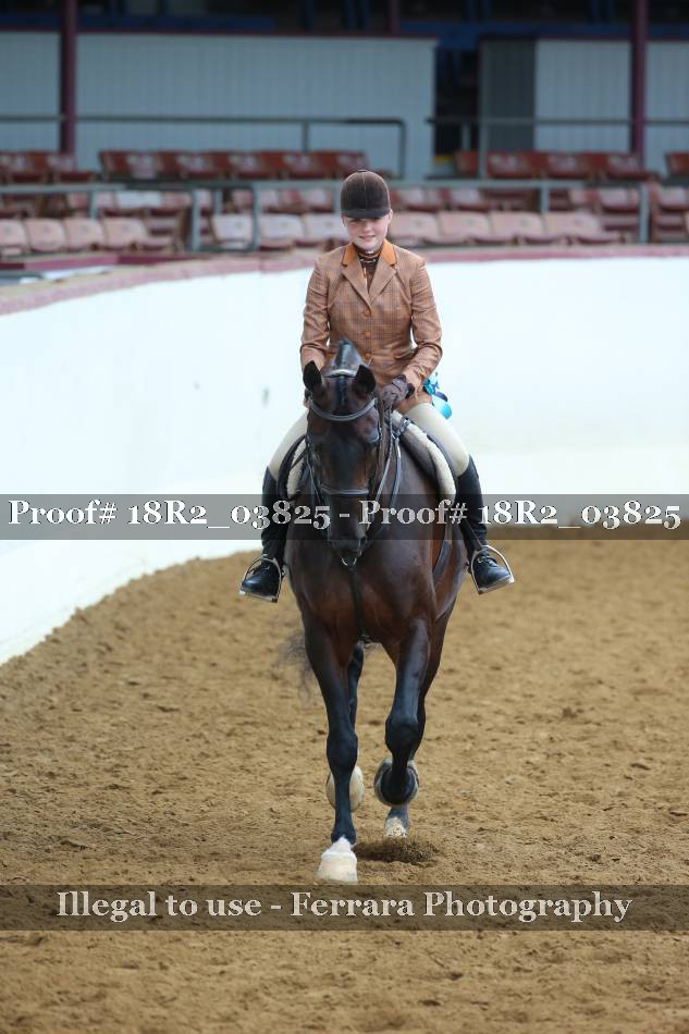 Proof 18R2_03825