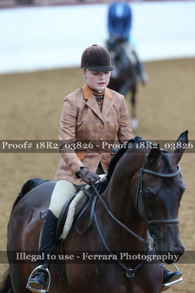 Proof 18R2_03826