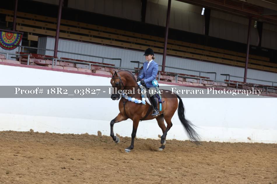 Proof 18R2_03827
