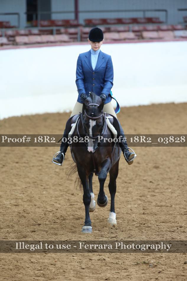 Proof 18R2_03828