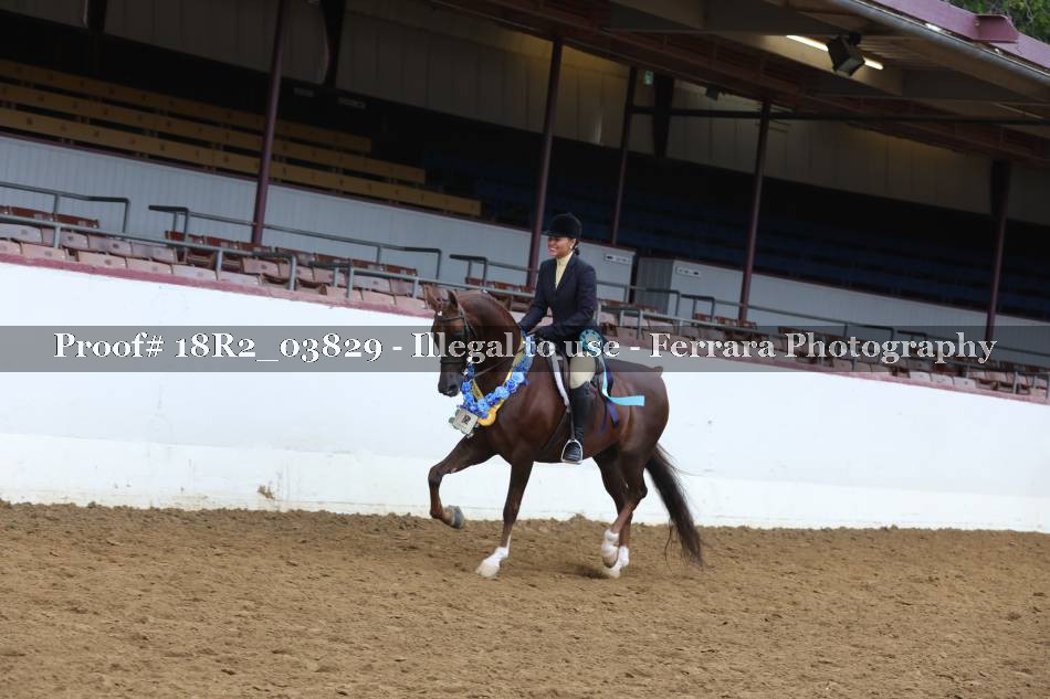 Proof 18R2_03829
