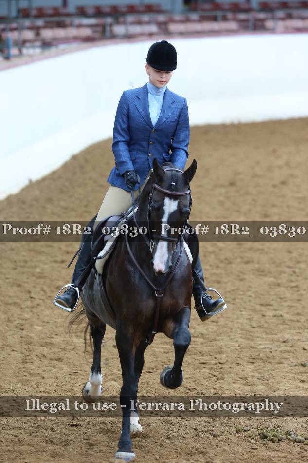 Proof 18R2_03830