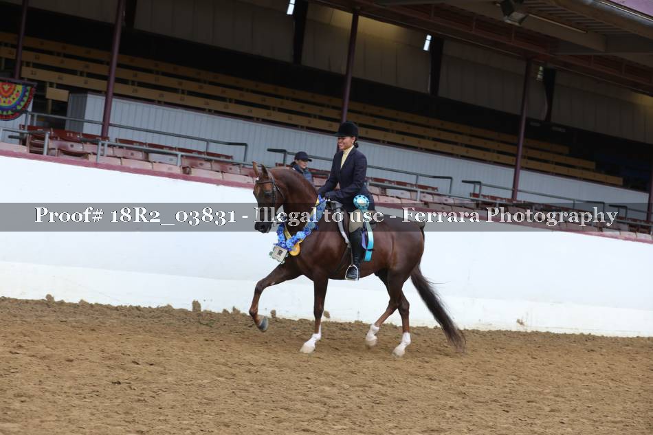 Proof 18R2_03831