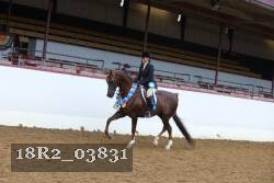18R2_03831 proof