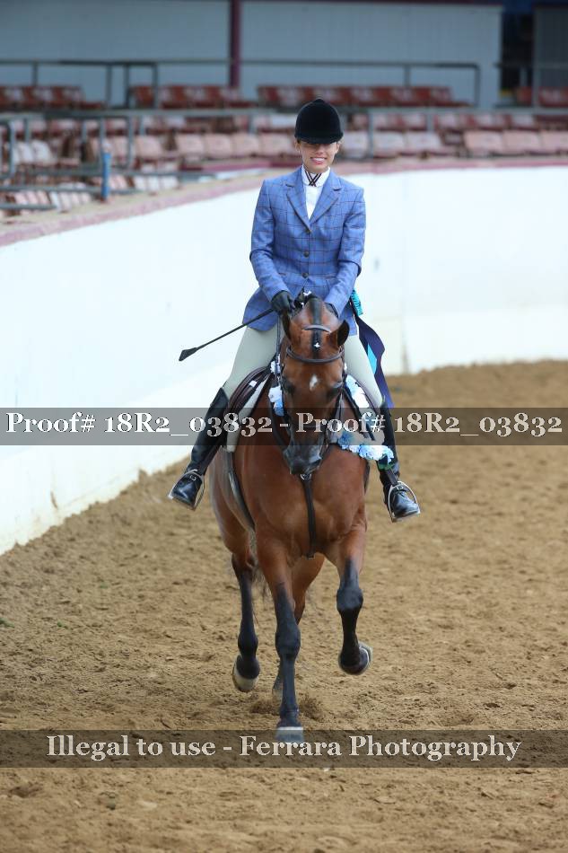 Proof 18R2_03832