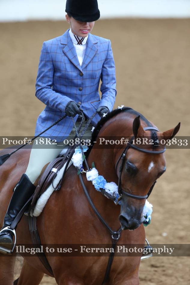 Proof 18R2_03833
