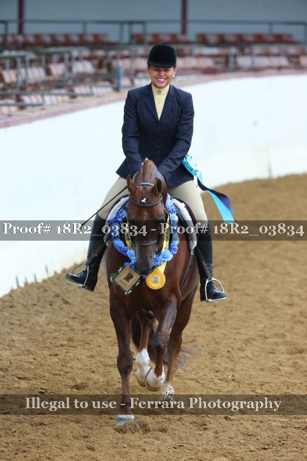 Proof 18R2_03834