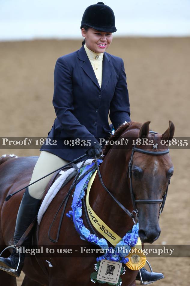 Proof 18R2_03835