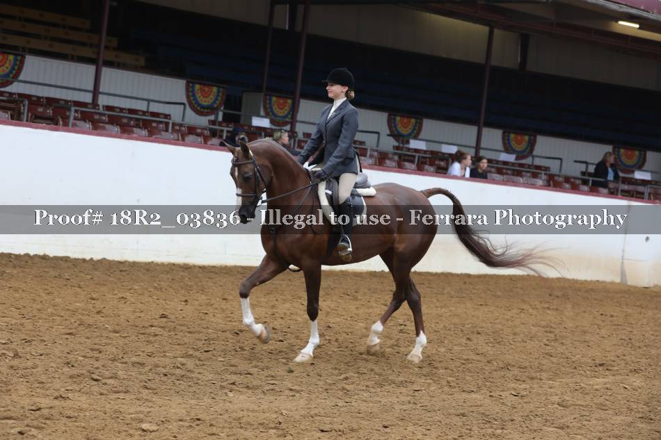 Proof 18R2_03836