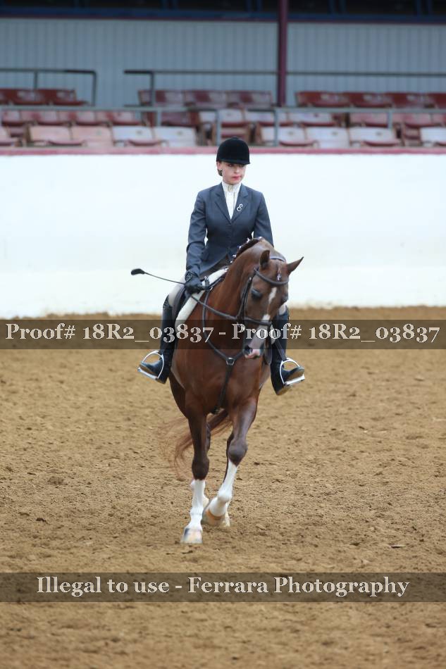 Proof 18R2_03837