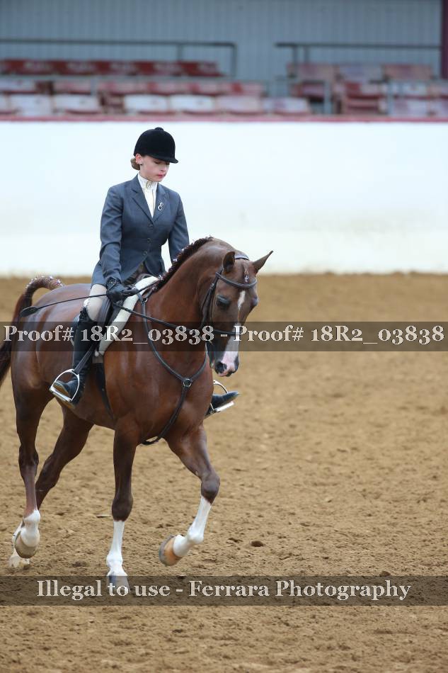 Proof 18R2_03838