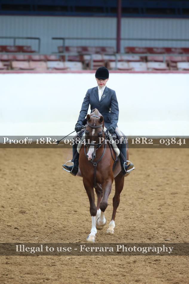 Proof 18R2_03841