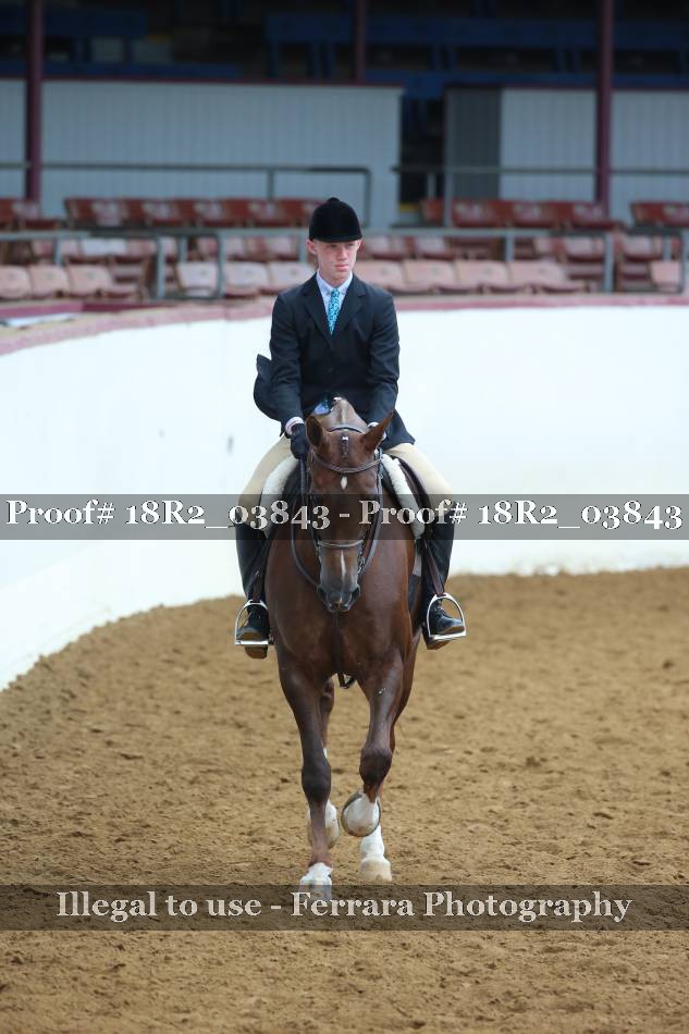 Proof 18R2_03843