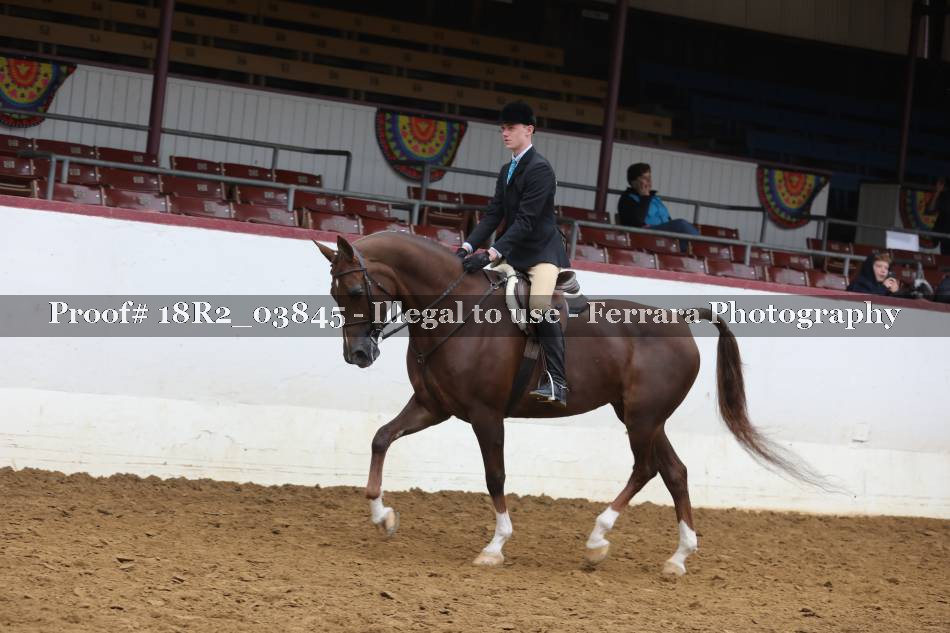 Proof 18R2_03845