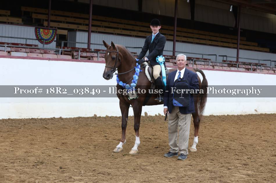 Proof 18R2_03849