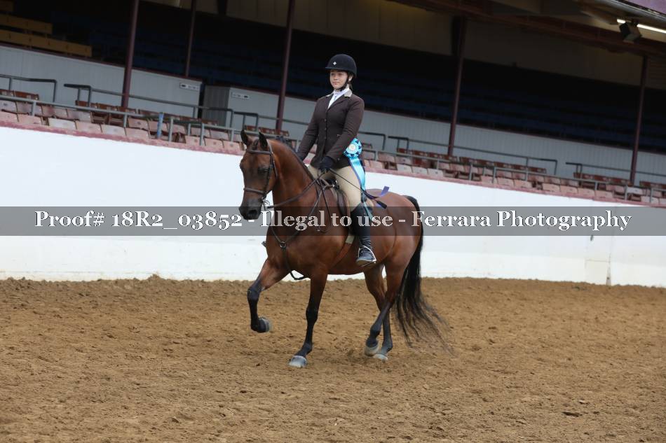 Proof 18R2_03852