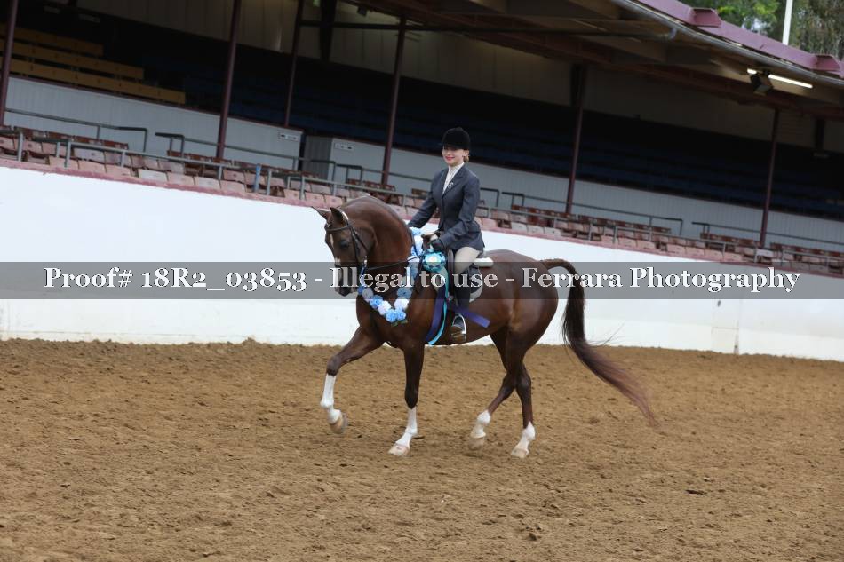 Proof 18R2_03853