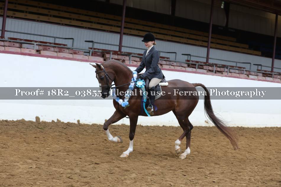 Proof 18R2_03855