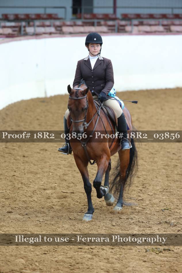 Proof 18R2_03856
