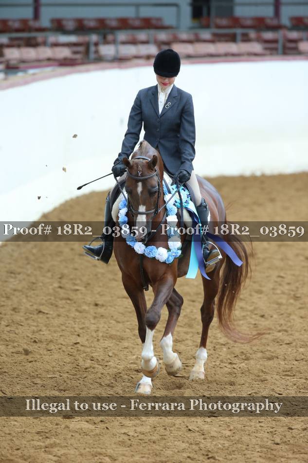 Proof 18R2_03859