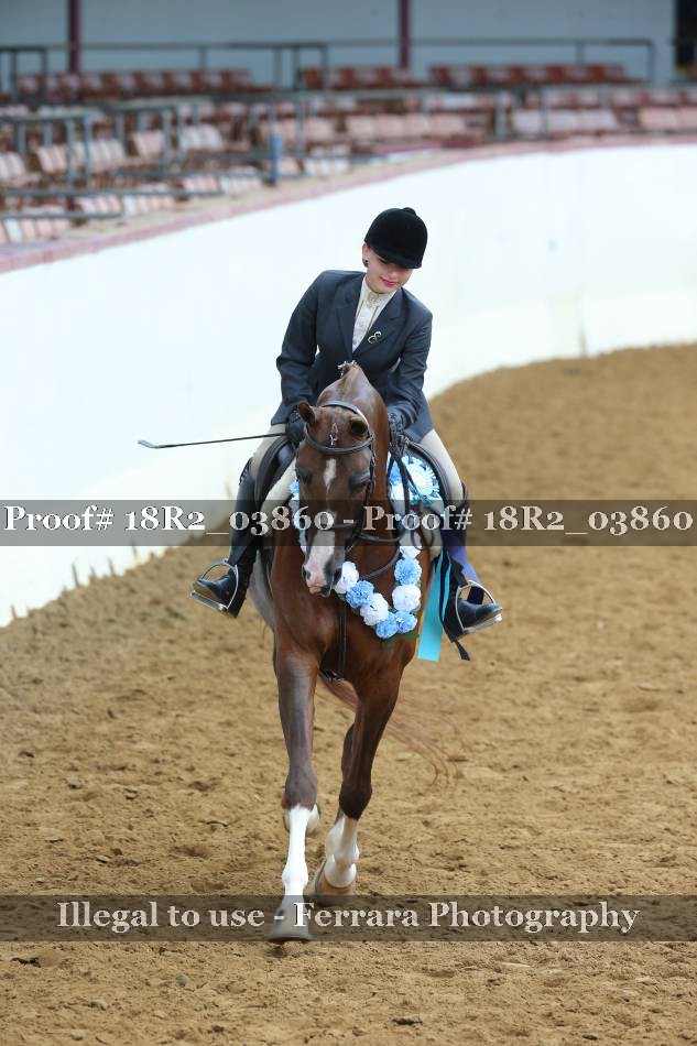 Proof 18R2_03860