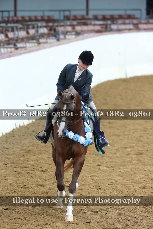 Proof 18R2_03861