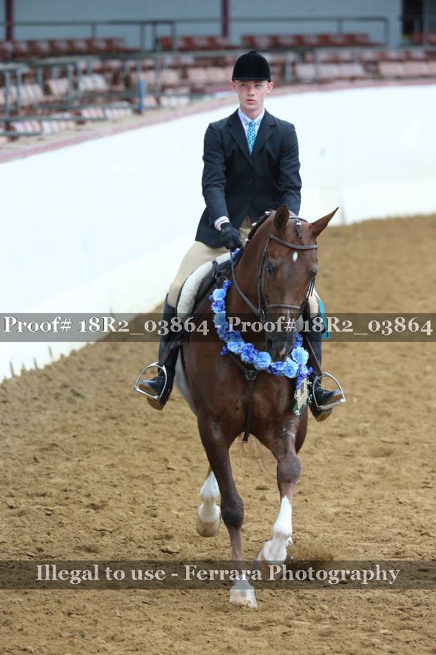 Proof 18R2_03864