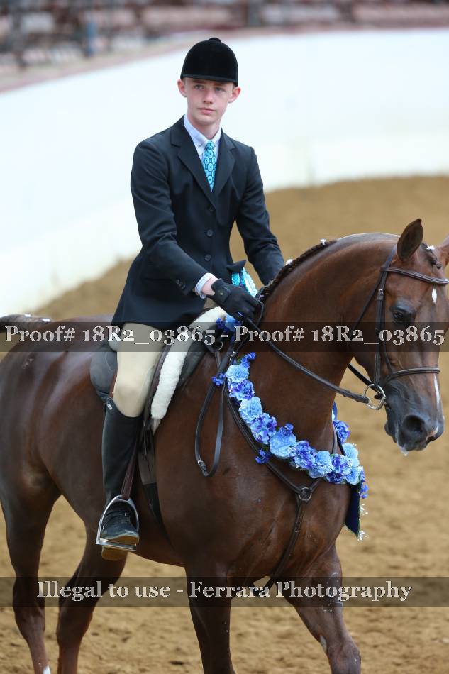 Proof 18R2_03865