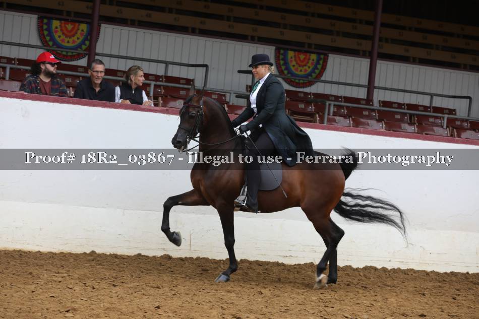 Proof 18R2_03867