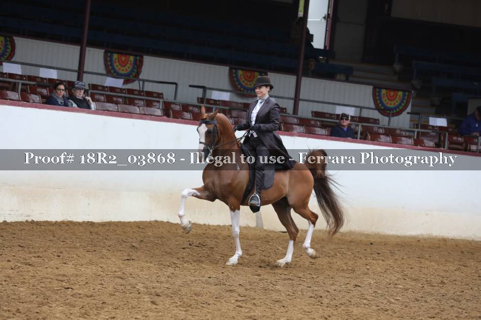 Proof 18R2_03868